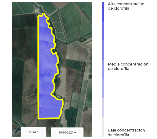 Ejemplo de Aplicación NDWI - Visualización homogénea del estado hídrico del cultivo